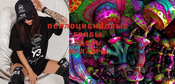 гидра Елизово
