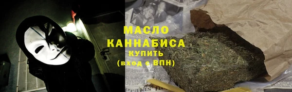 гидра Елизово