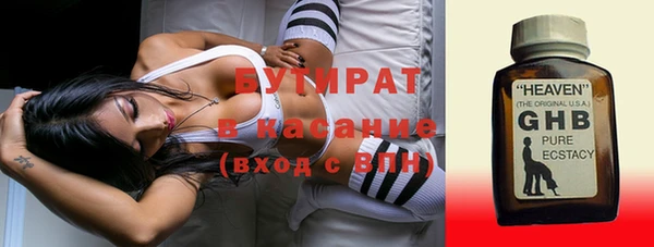гидра Елизово