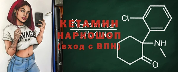гидра Елизово