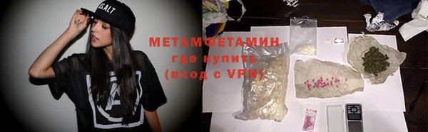гидра Елизово