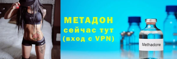 гидра Елизово
