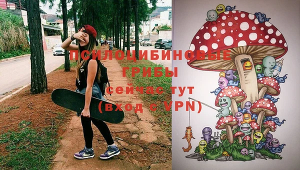 марки lsd Ельня