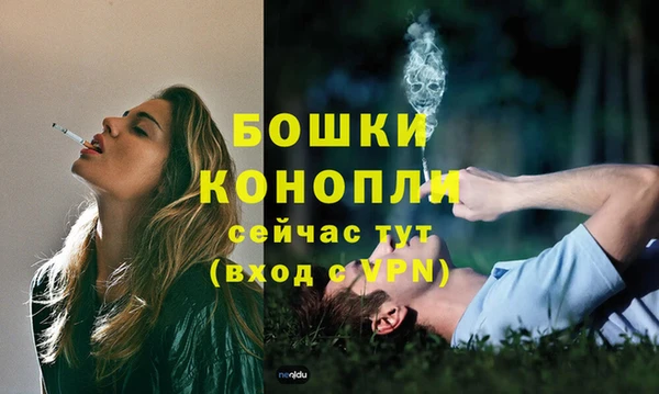 гидра Елизово