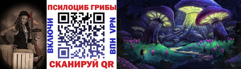 Галлюциногенные грибы Psilocybe  Купить где  Удомля 